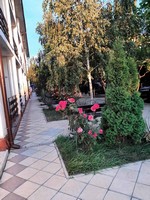 Грибівка, база відпочинку, басейн, Софія